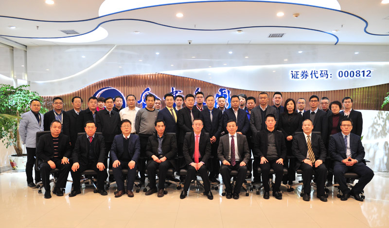 金葉集團(tuán)2018年工作總結(jié)暨2019年工作計劃會議順利召開