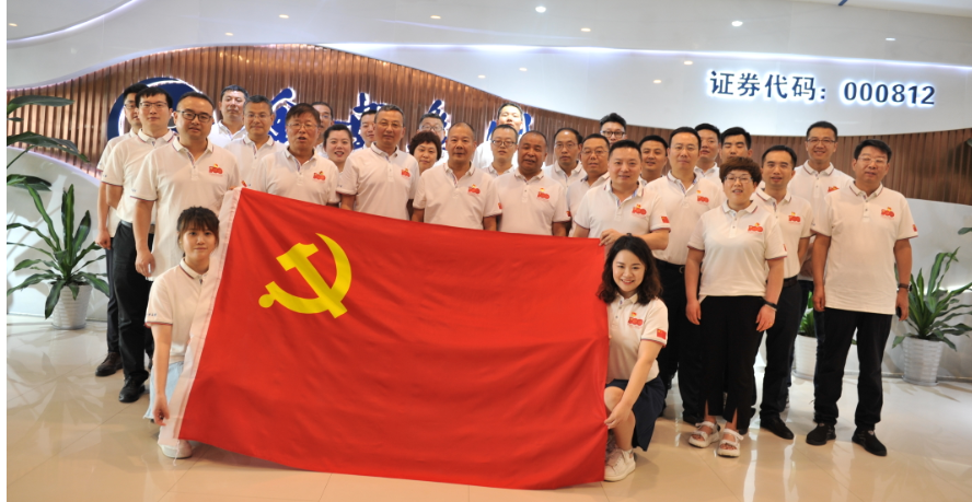 紀(jì)念百年路  聚焦奮進時——金葉集團黨委熱烈慶祝建黨100周年