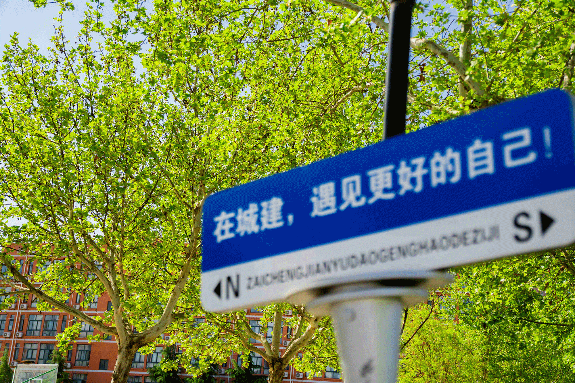 以綠色發(fā)展理念 賦能育人創(chuàng)新——金葉科教集團教育事業(yè)兩校生態(tài)環(huán)境建設(shè)獲省級認(rèn)可